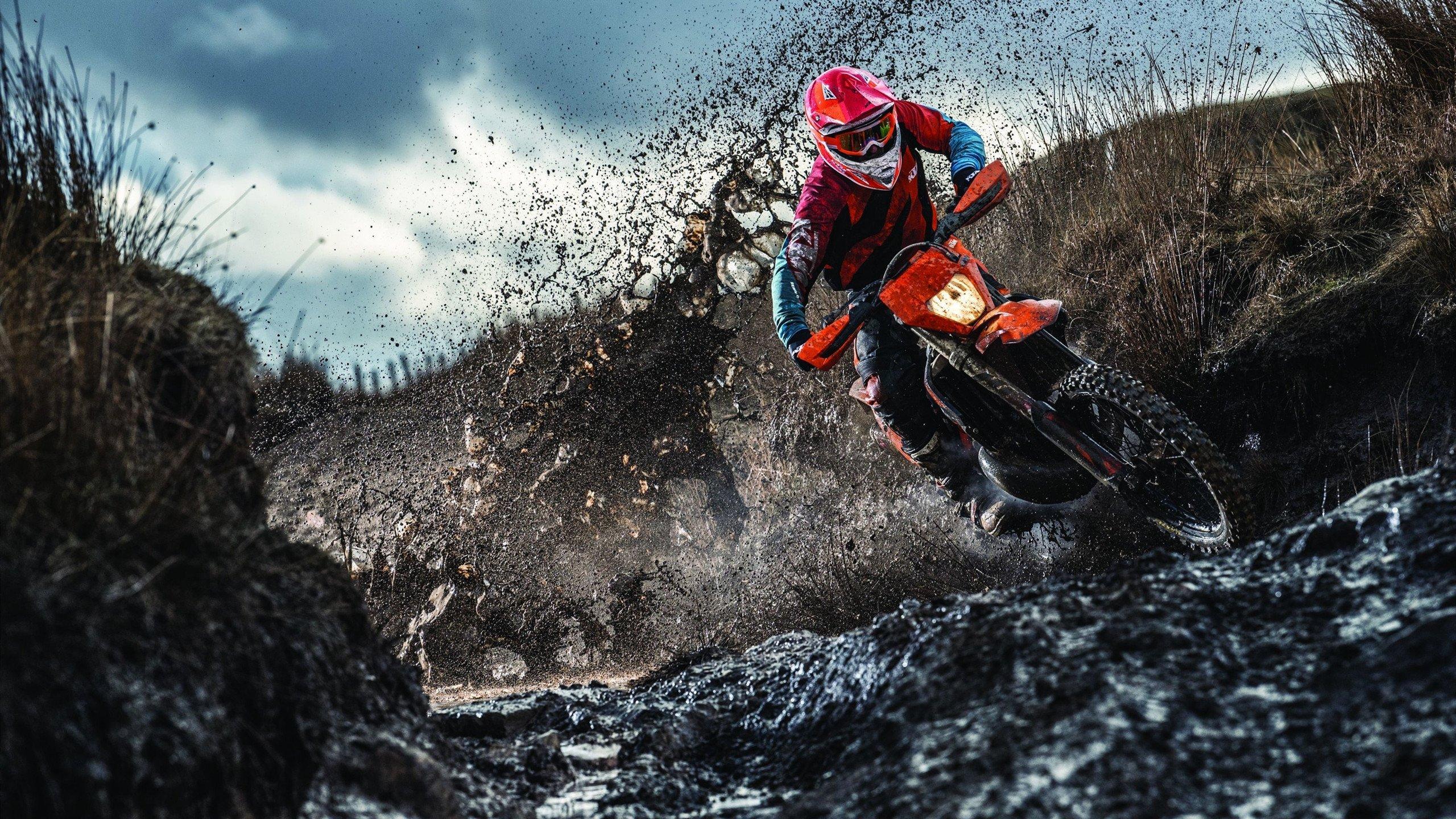 自由泳世锦赛新星闪耀，中国小将破纪录夺金