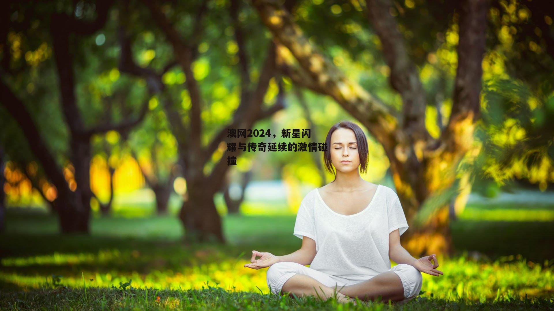澳网2024，新星闪耀与传奇延续的激情碰撞